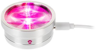 Ape Labs ApeCoin USB-C