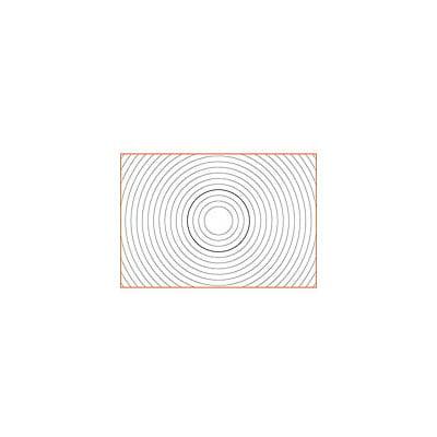 Nikon B Screen for F6