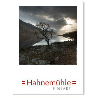 Hahnemuhle Photo Rag 188gsm 17inch Roll  12m