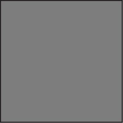 Lee SW150 Neutral Density 0.6 Standard Resin Filter