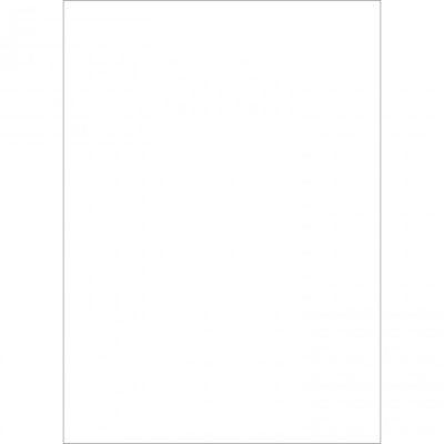 Westcott Basics X-Drop Background Cloth - White