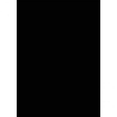 Westcott Basics X Drop Background Cloth - Black