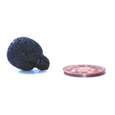 Rycote Neoprene Coated Mini Lavalier Foam