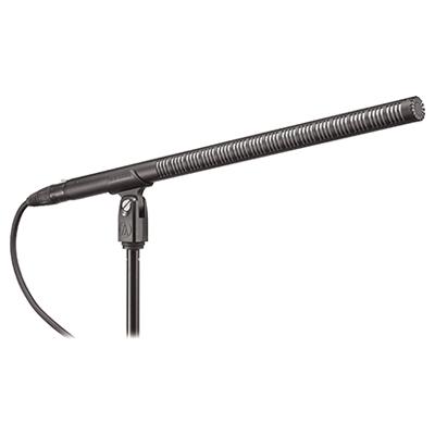Audio-Technica BP4071 Line + Gradient Capacitor Mic
