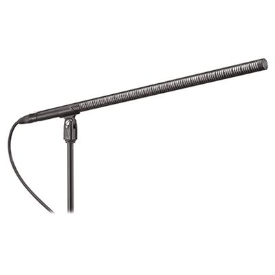 Audio-Technica BP4071L Line + Gradient Capacitor Mic