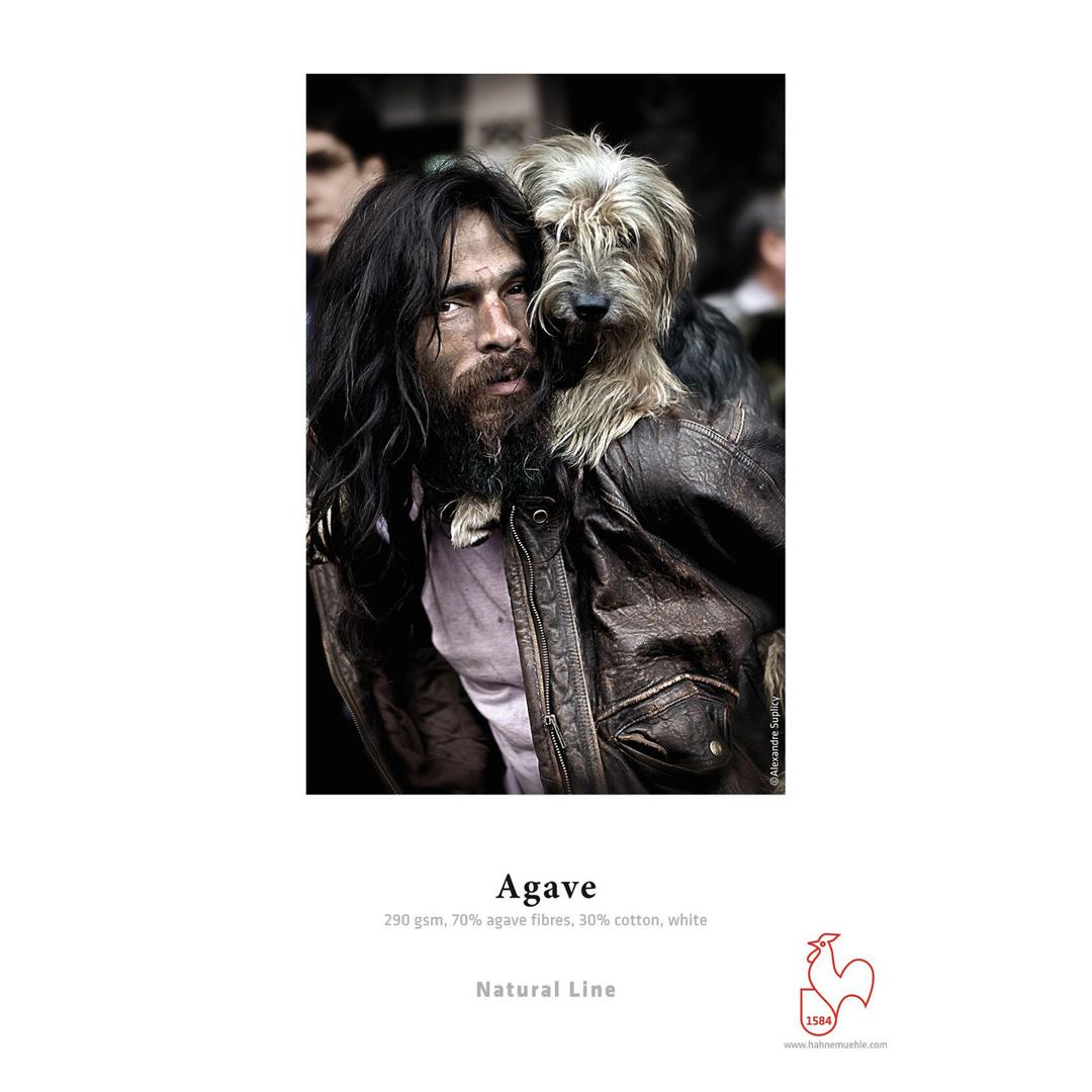 Hahnemuhle Agave 290gsm A4 - 25 Sheets