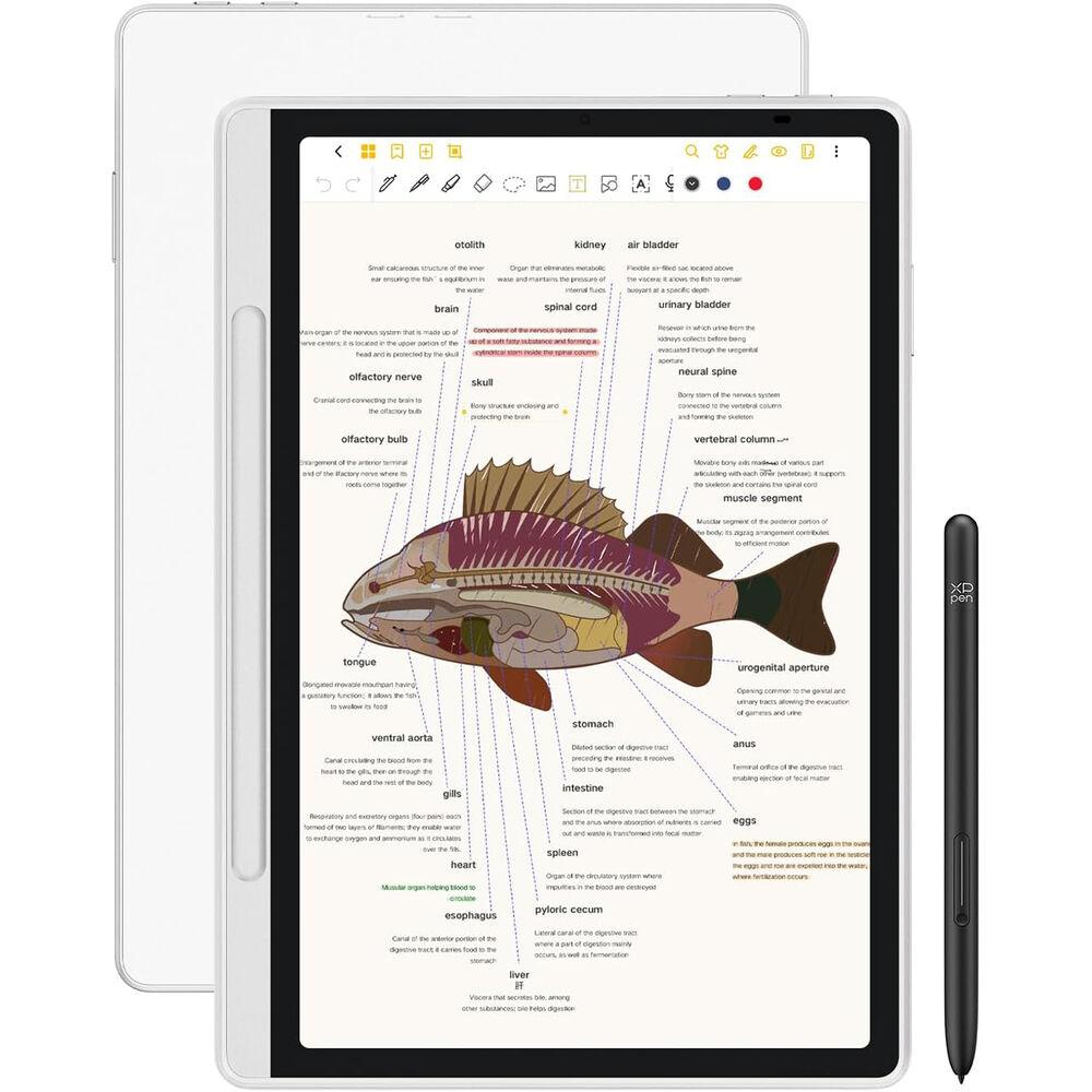 XP-Pen Magic Note Pad Pen Display