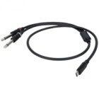DAP FL111 - USB-C to 2 Mono Jack L/R 0.75 m