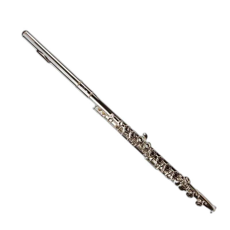 Forte FL1 Flute Outfit