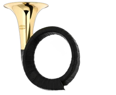 Thomann Bb- Fürst Pless Horn