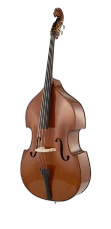 Stentor SR1438 Double Bass 3/4